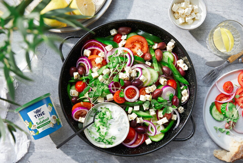 Tine Norsk Salatost er en av Tines største produktsatsninger i 2024.