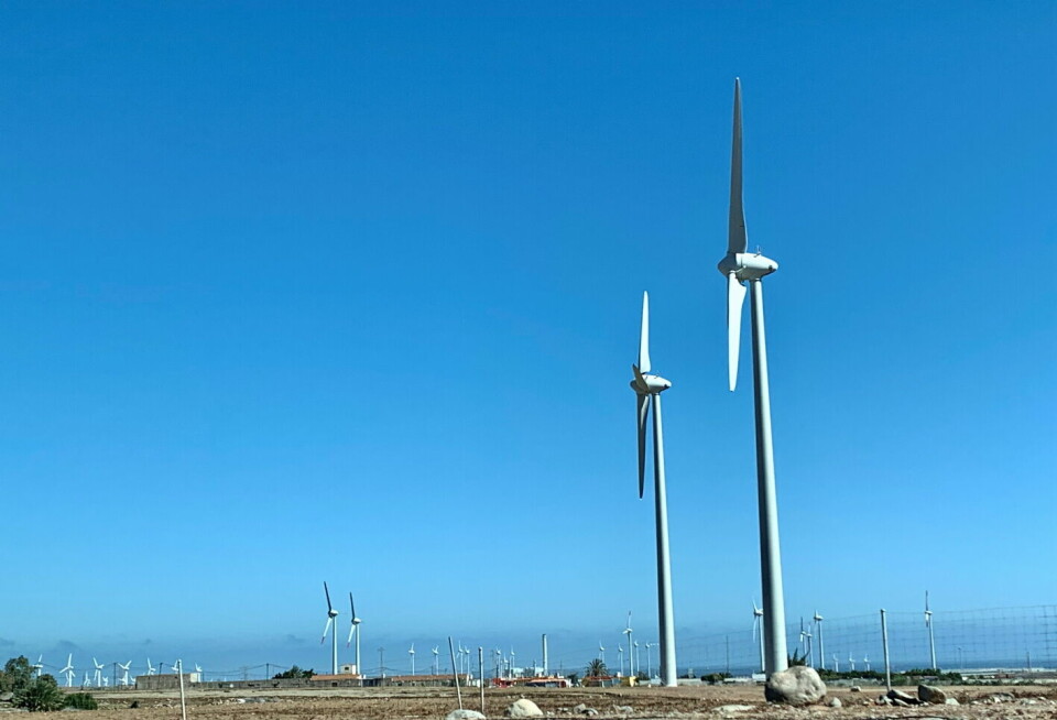 Når man kjører til og fra flyplassen i Las Palmas, ser man den stadig større vindmølleparken, og nå har de også begynt å legge gedigne solcelle-parker langs bakken.
