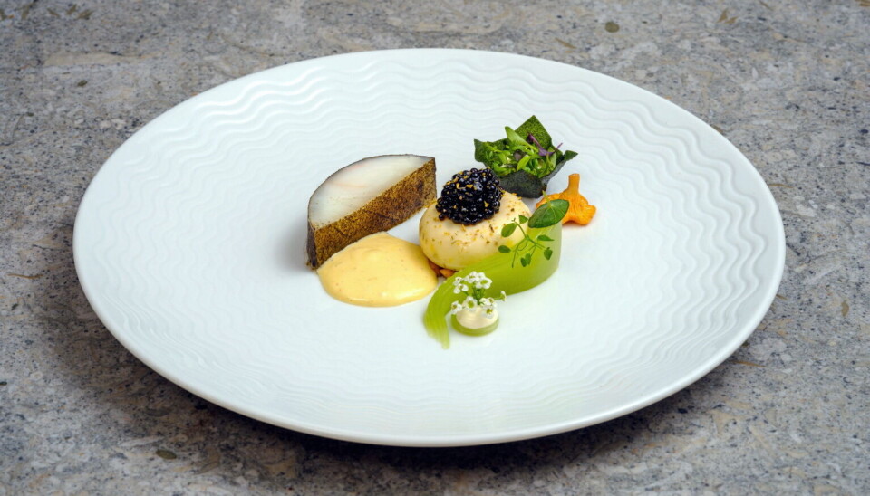 Varm sjømatforrett med «Sterling White Kveite» og bruk av Koppert karse-produkt. Varm sjømatforrett med «Sterling White Kveite» og bruk av Koppert karse-produkt.