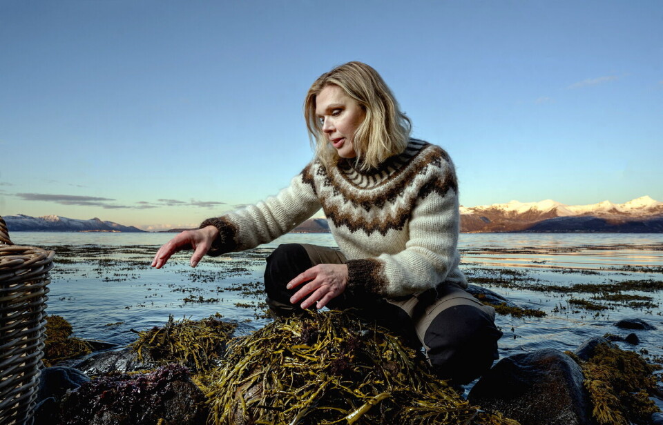 Angelita Eriksen i Lofoten Seaweed høster tang og tare i fjæra. Angelita Eriksen i Lofoten Seaweed høster tang og tare i fjæra.