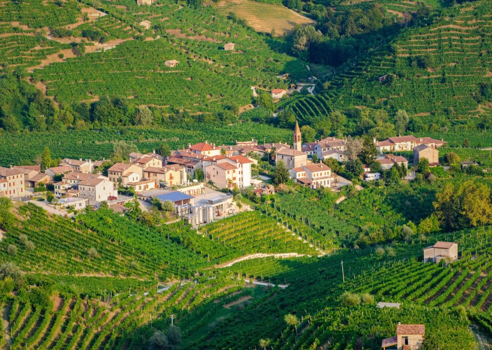 Det var her det begynte. Landsbyen Cartizze i Valdoppiadene er en del av den historiske kjernen til Prosecco. Cartizze