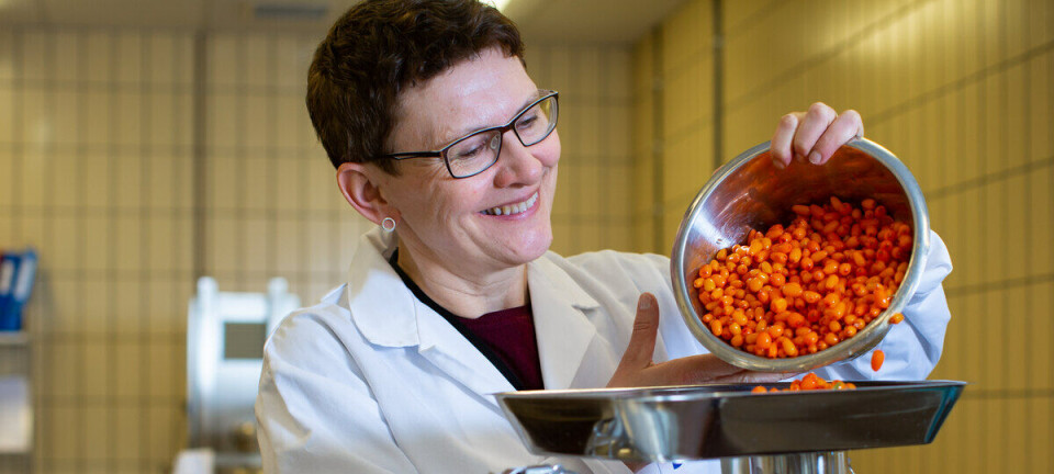 Frosne bær: Slik bevarer du næringsstoffene