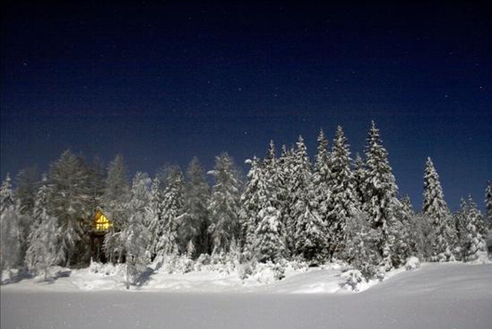 Lerkehytta måneskinnsnatt.jpg