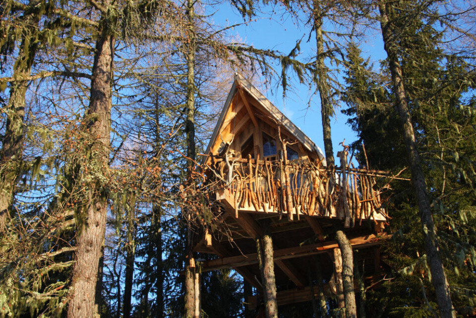 Tretopphytte Lerk (158).JPG