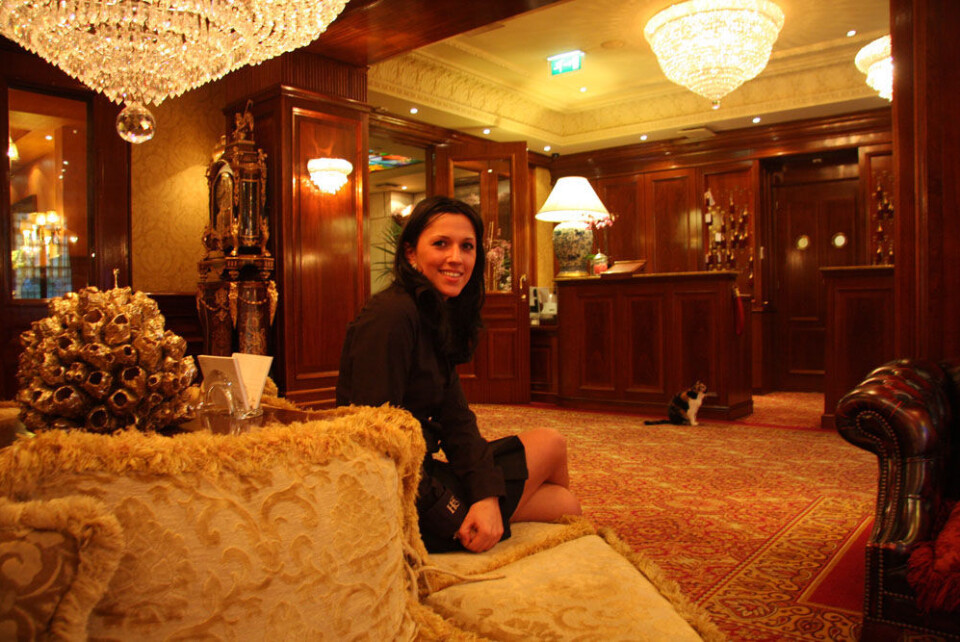 Anessa Avdic lobby1.jpg