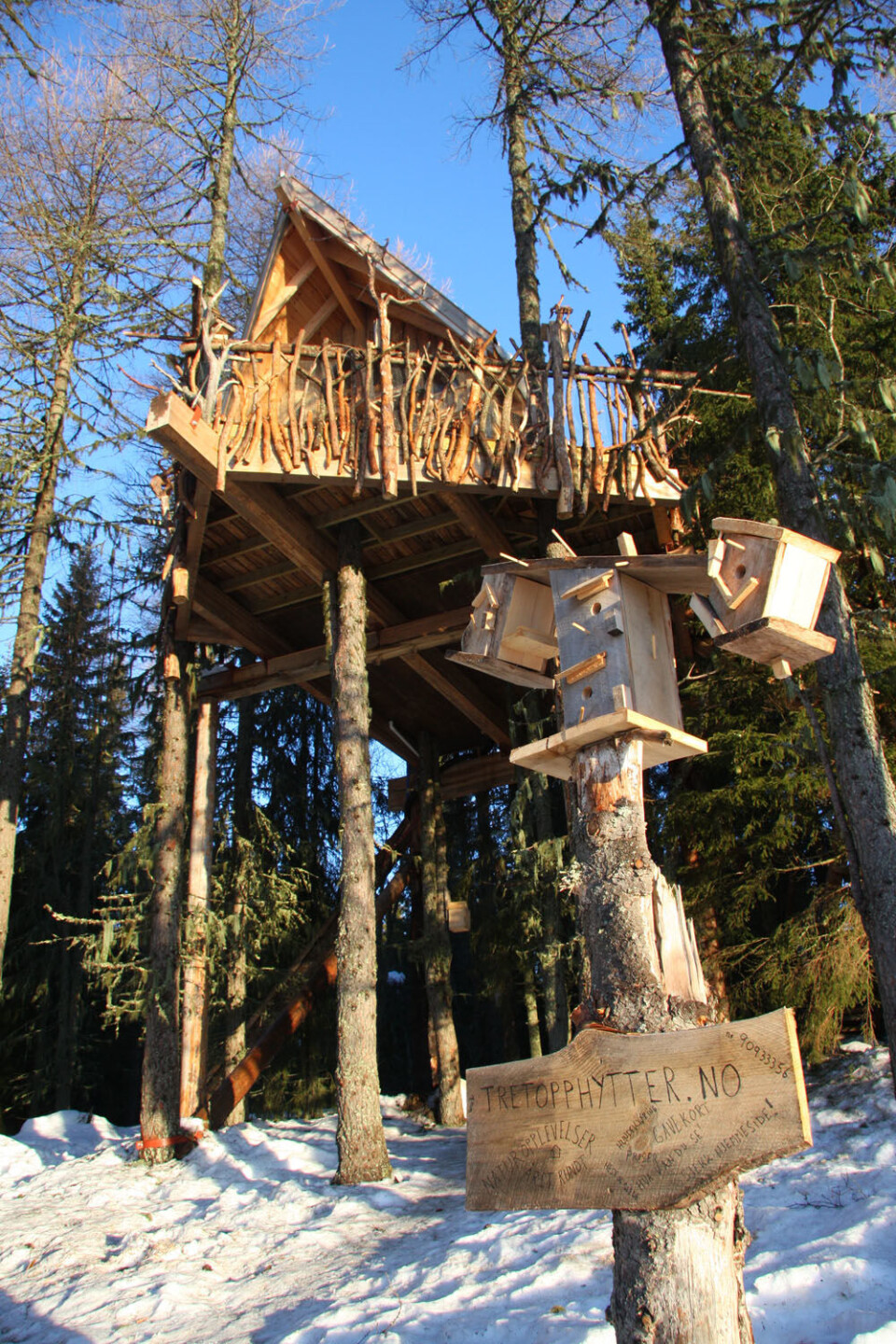 Tretopphytte Lerk (162).JPG