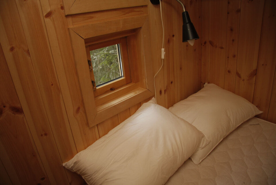 Tretopphytte Lerk (5).JPG