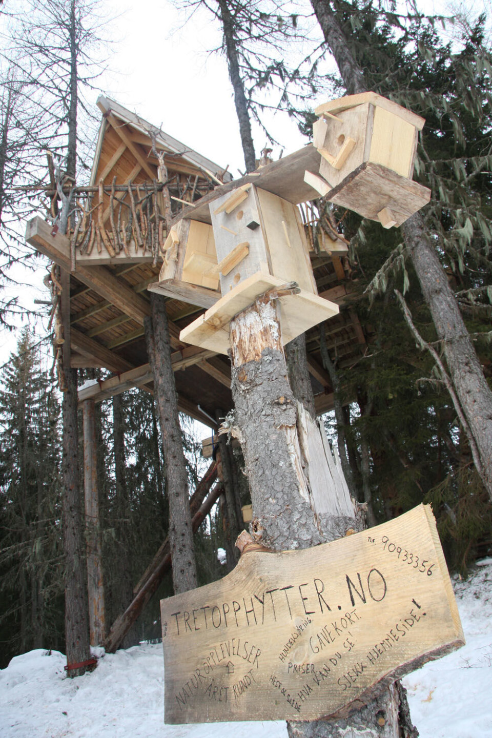 Tretopphytte Lerk (81).JPG