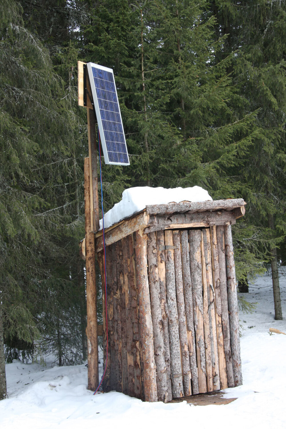 Tretopphytte Lerk (88).JPG