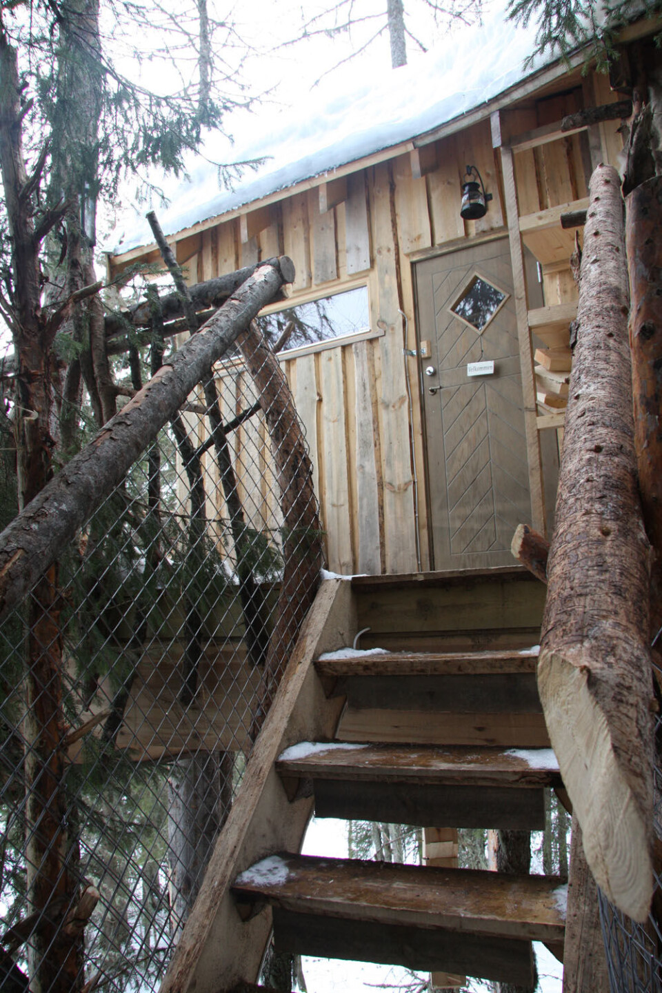 Tretopphytte Lerk inngangsparti.JPG