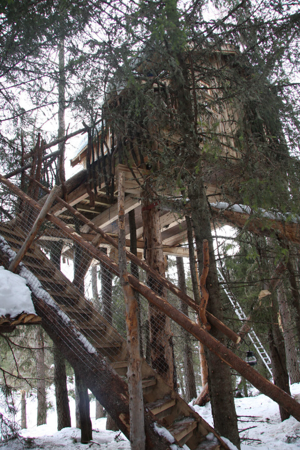 Tretopphytte Lerk trapp inngang.JPG