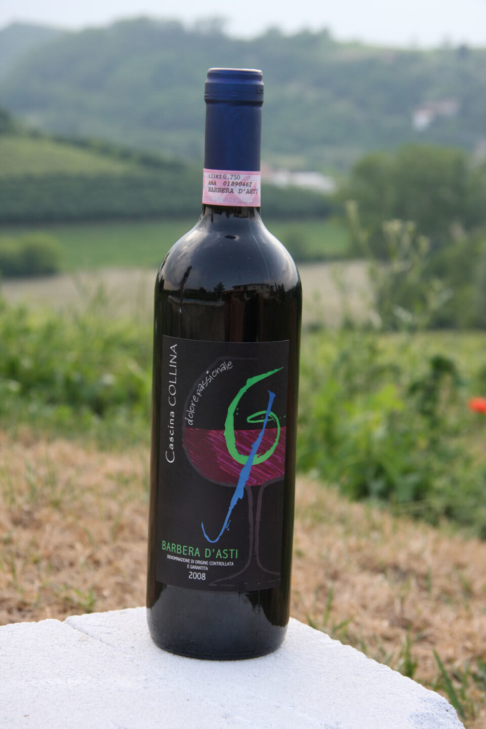 Barbera 2008 - 1 (4).JPG