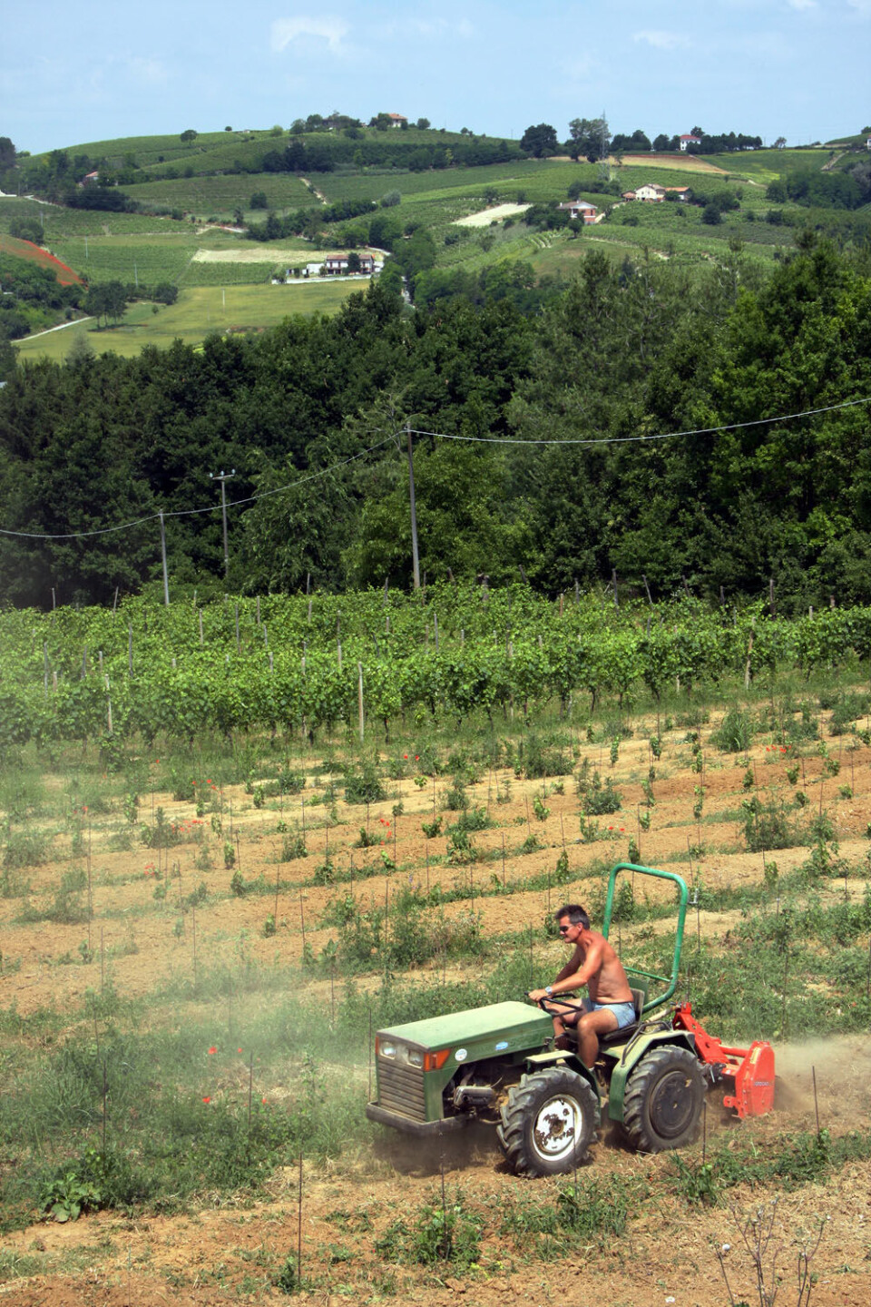 Joar Monstad Chardonnay (1).jpg