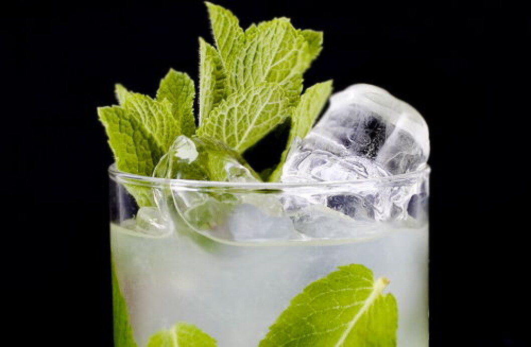 HavanaClubMojito1 HavanaClubMojito1