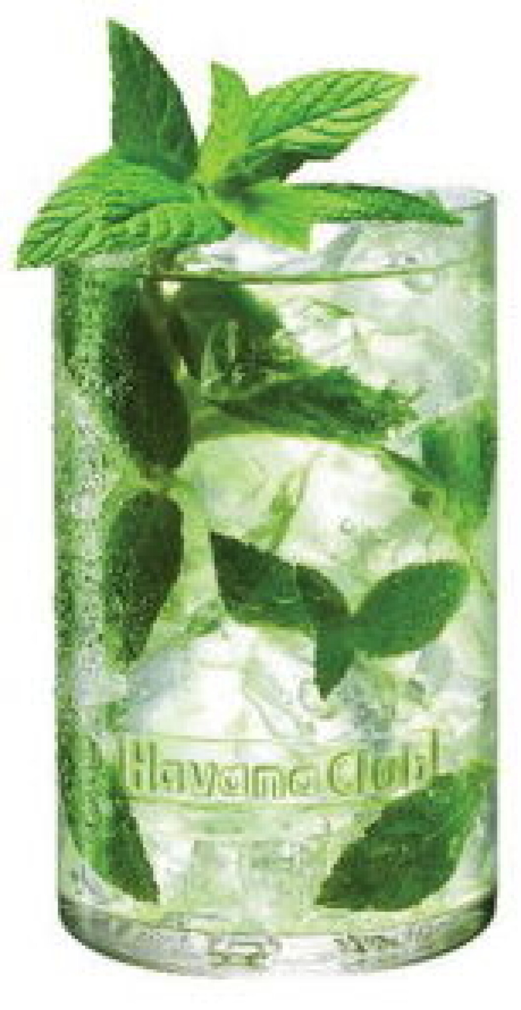 Mojito Havana Club nett Mojito Havana Club nett