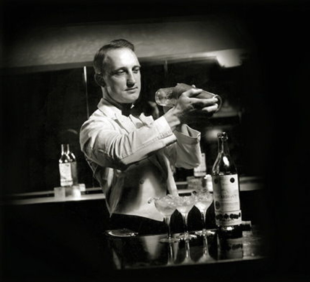 Bartender Bacardi Bartender Bacardi