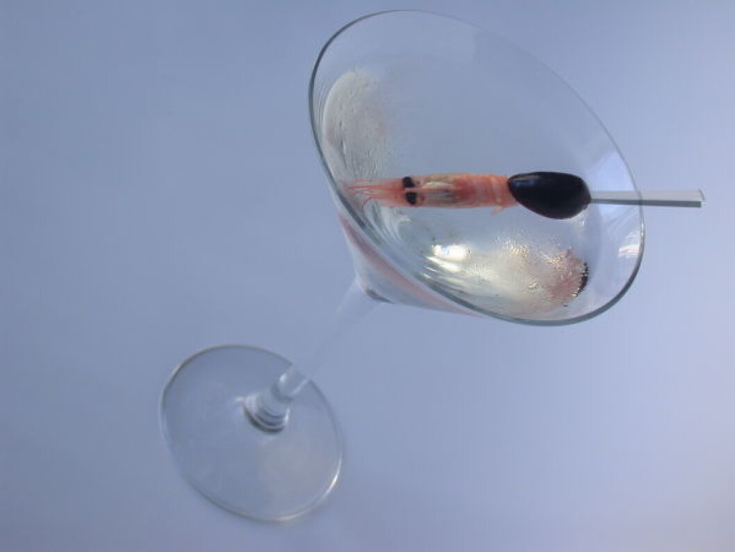 Aquatini Kontinental Bar Aquatini Kontinental Bar