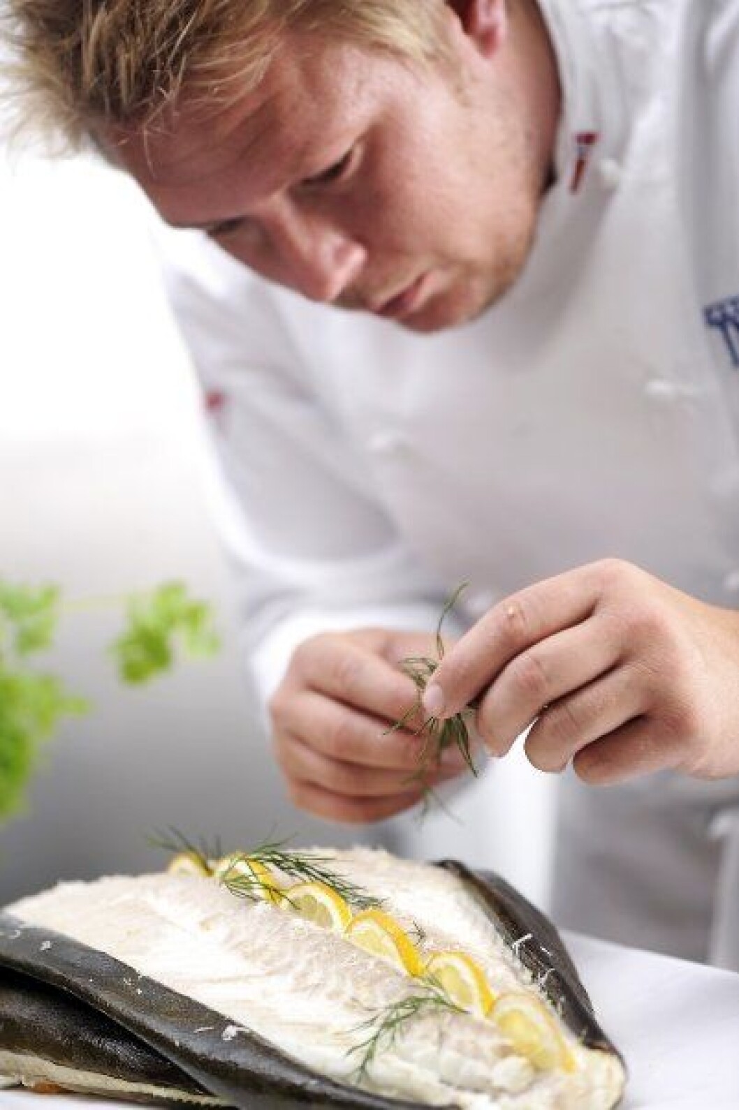 Gunnar Hvarnes fisk Gunnar Hvarnes fisk