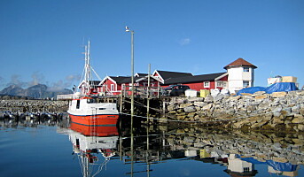 Tidenes beste halvår for norsk sjømateksport