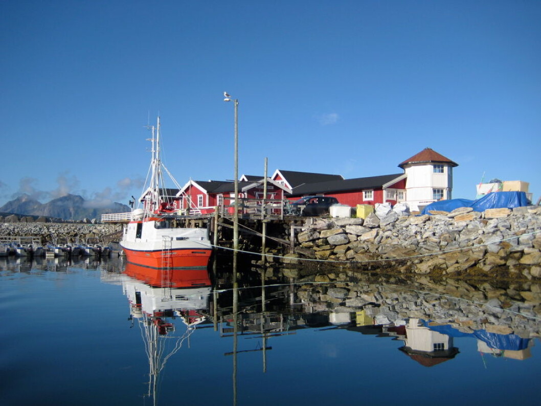 Fiskebåt Steigen Fiskebåt Steigen