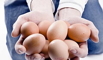 Verdens eggdag fredag 14. oktober