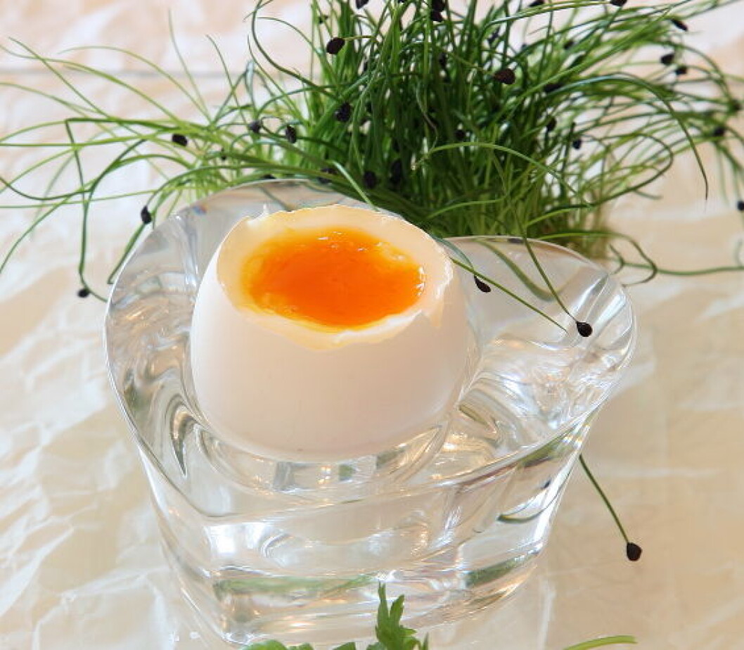 FrokosteggPåske FrokosteggPåske