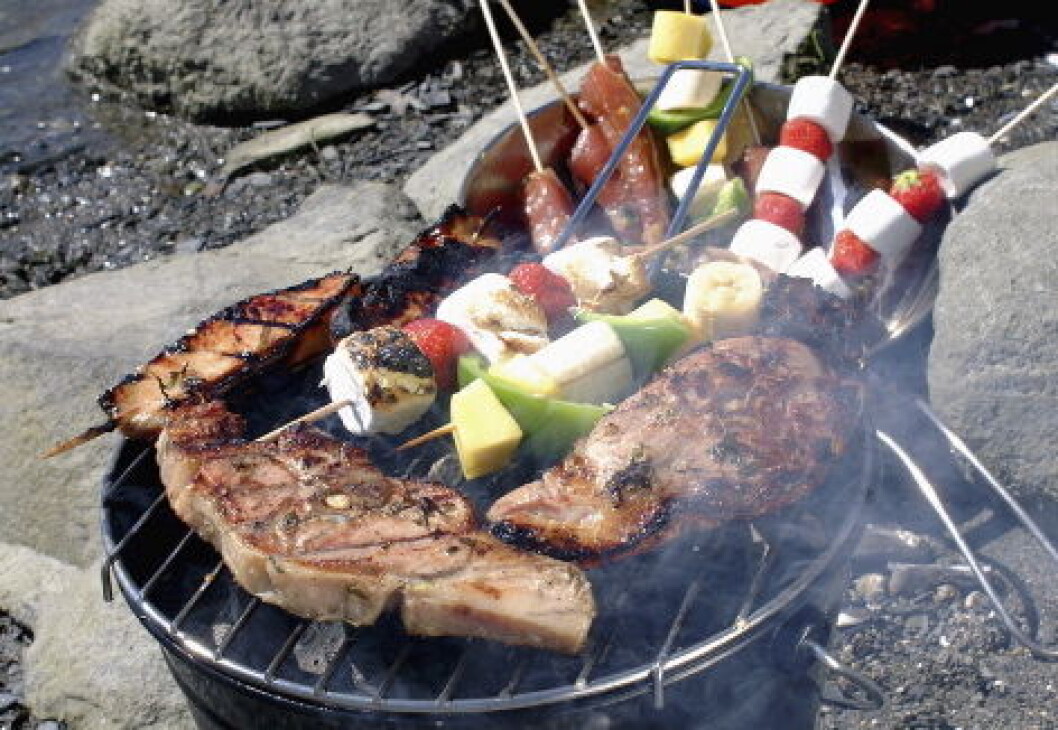 Grilling illustrasjon nett1 Grilling illustrasjon nett1