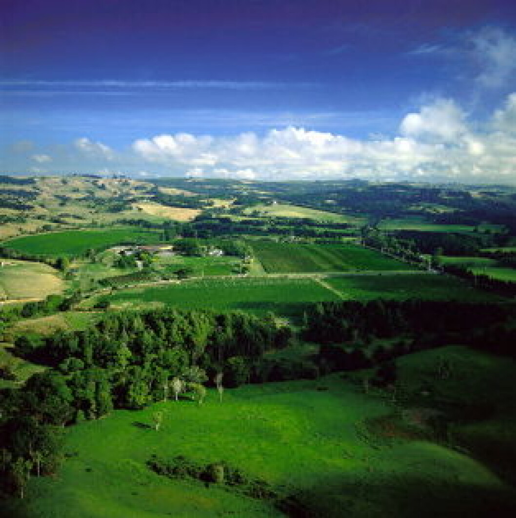 Matua Vingård New Zealand Matua Vingård New Zealand