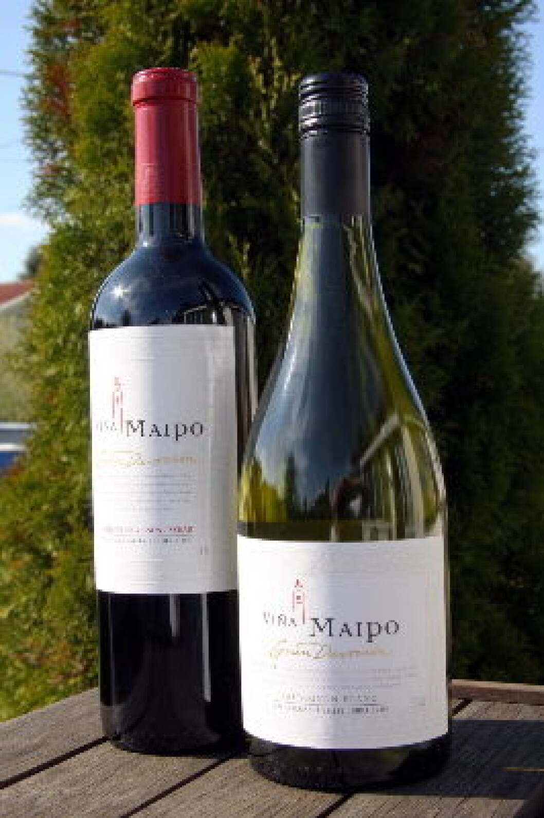 Vina Maipo rød hvit (1) Vina Maipo rød hvit (1)