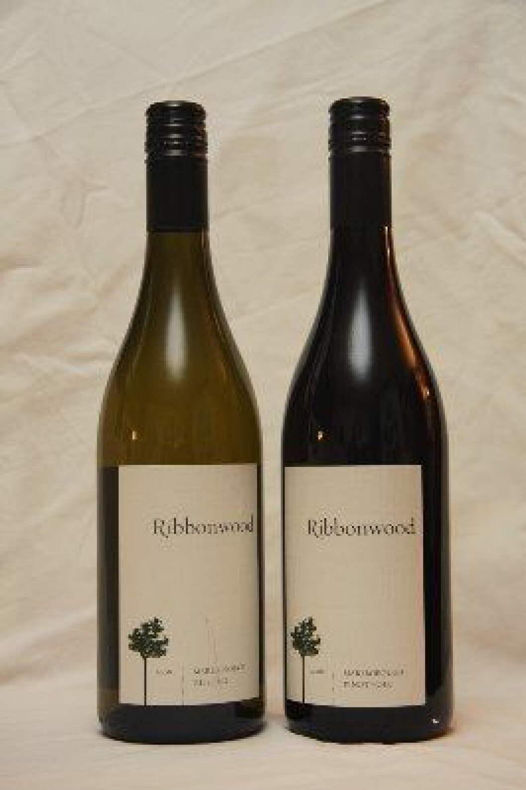 Ribbonwood New Zealand2 Ribbonwood New Zealand2