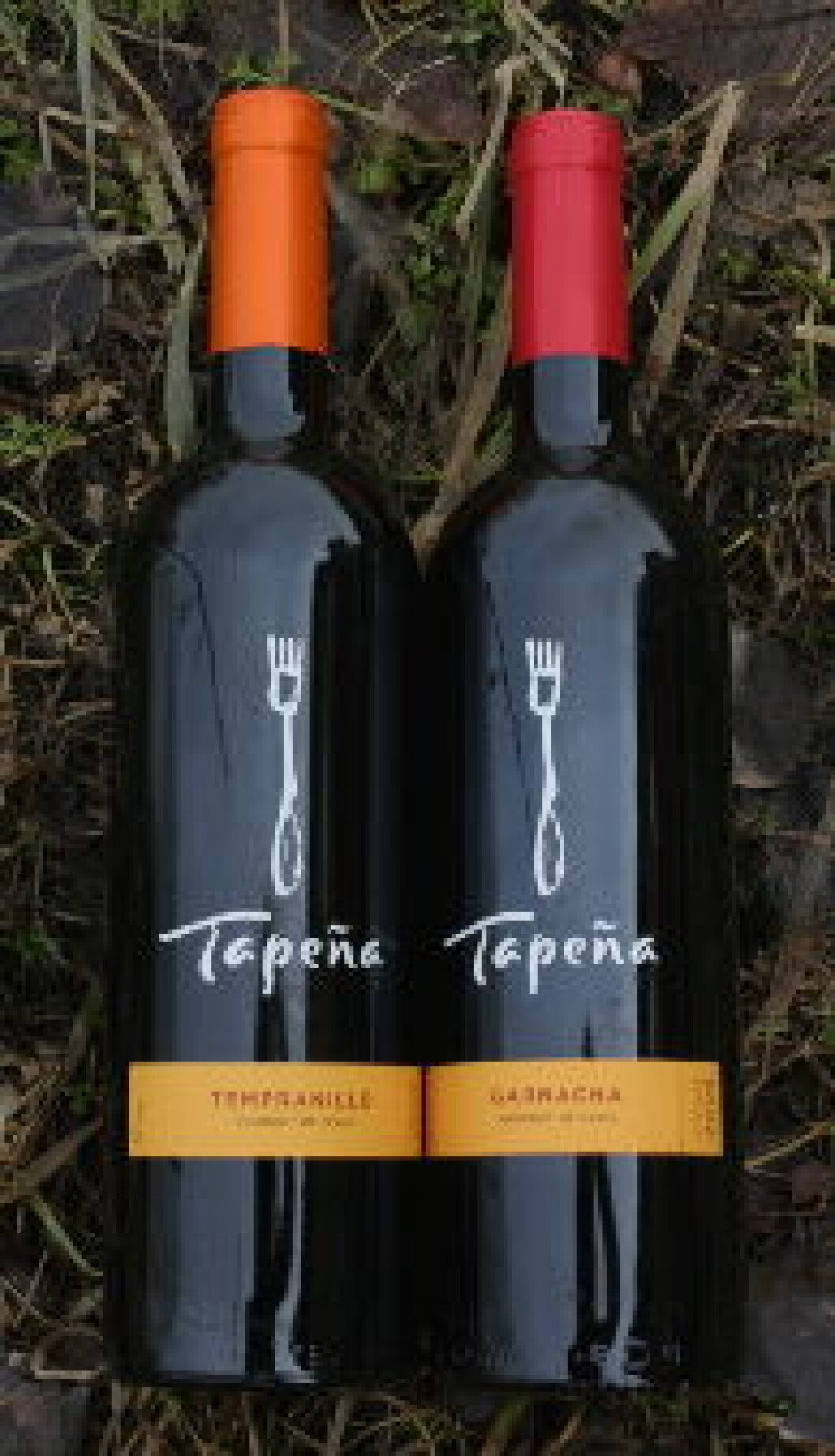 Tapasvin2 nett Tapasvin2 nett