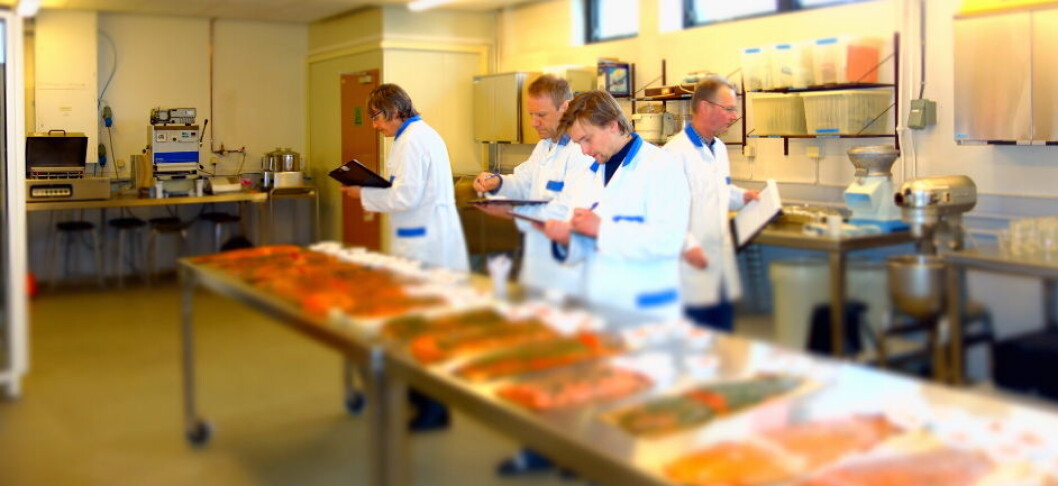 Jury NM i Røkt og Gravet Laks og ørret 2015 Jury NM i Røkt og Gravet Laks og ørret 2015