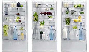 Ny trend: Bygg ditt eget kjøleskap