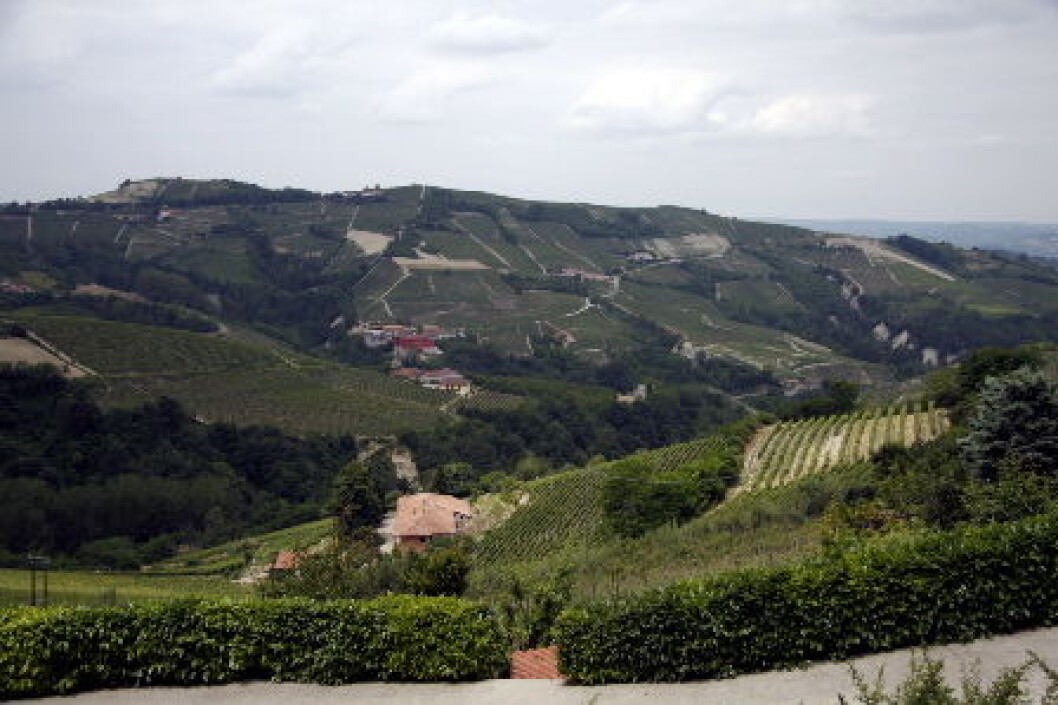Piemonte Italienske vinmarker Piemonte Italienske vinmarker