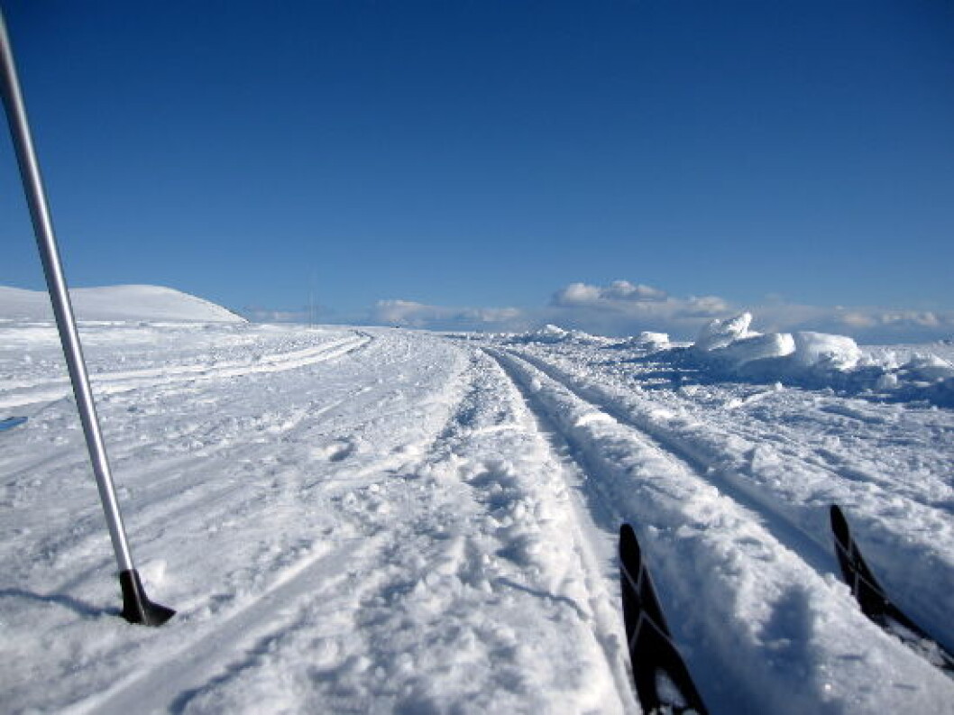 BeitostølenSkiløyperValdresflya2 BeitostølenSkiløyperValdresflya2