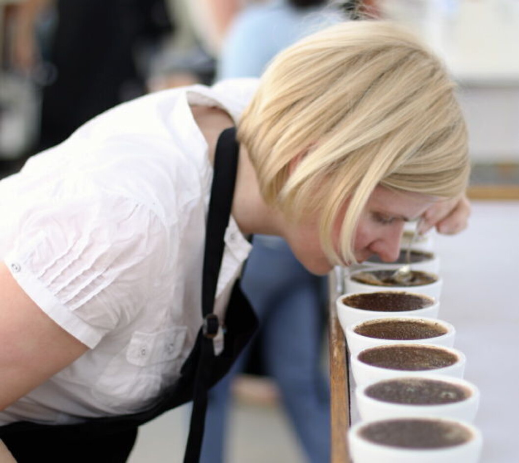 Kaffe Synøve Nesøen Kaffe Synøve Nesøen