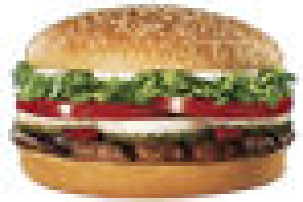 Whopper Whopper