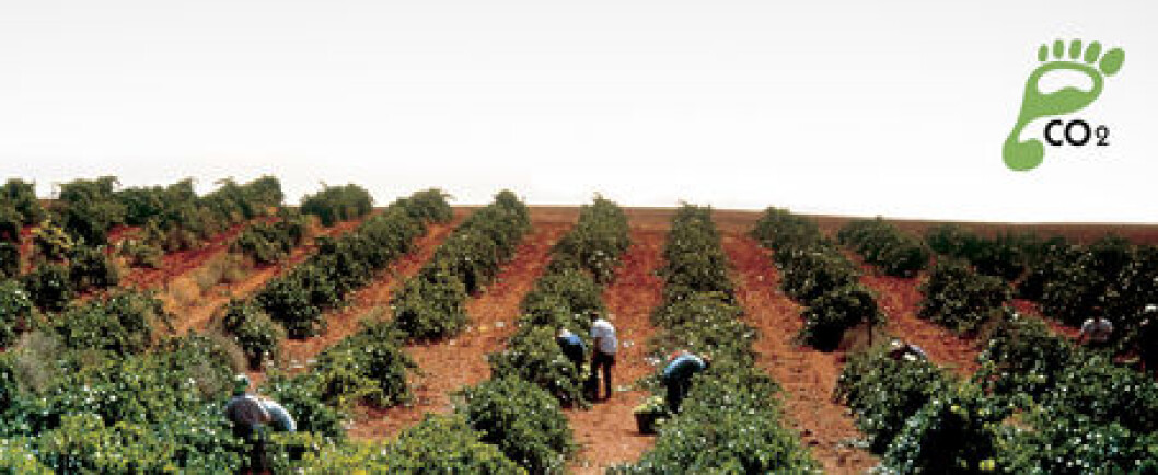BodegasCampoViejo BodegasCampoViejo