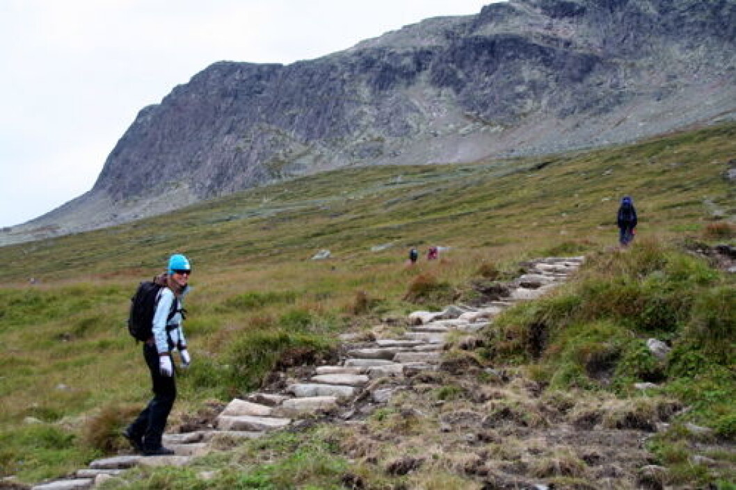 GeiloPrestholt GeiloPrestholt