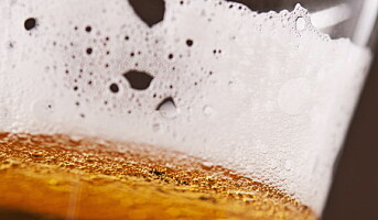 Ølportalen – nyheter om øl