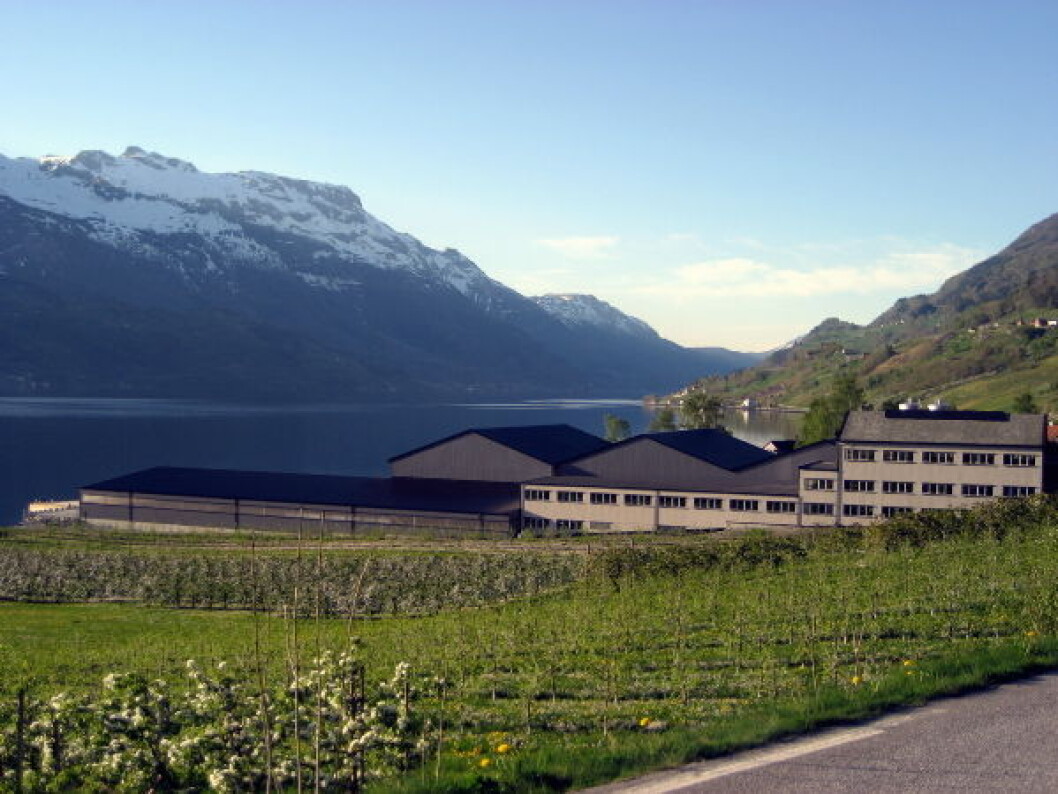 Isklar fabrikk2 nett Isklar fabrikk2 nett