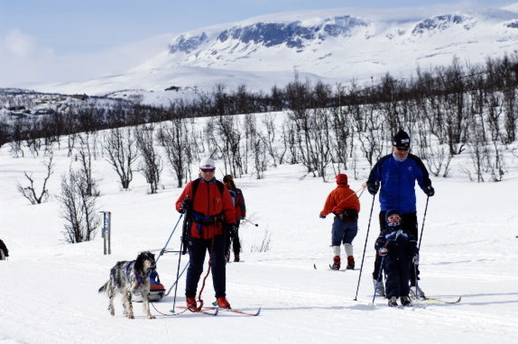 Geilolangrennskiløyper Geilolangrennskiløyper