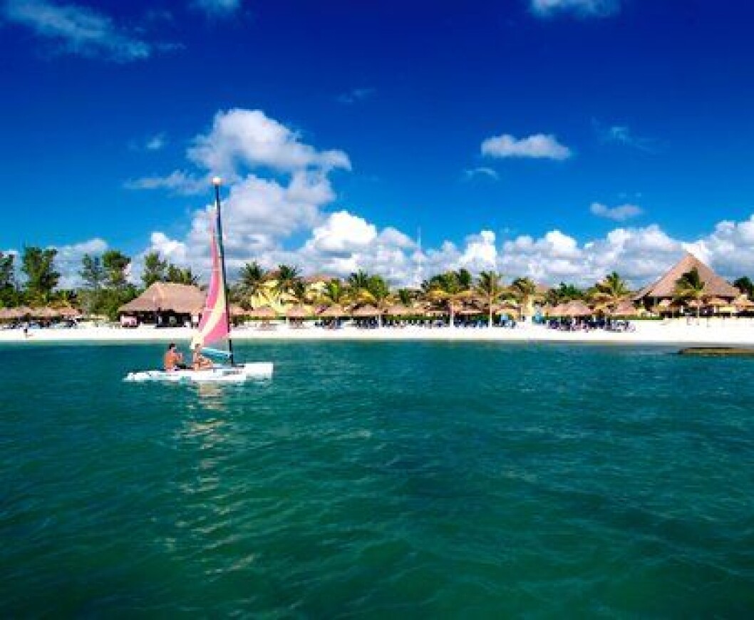 VingSunGardenMexico VingSunGardenMexico