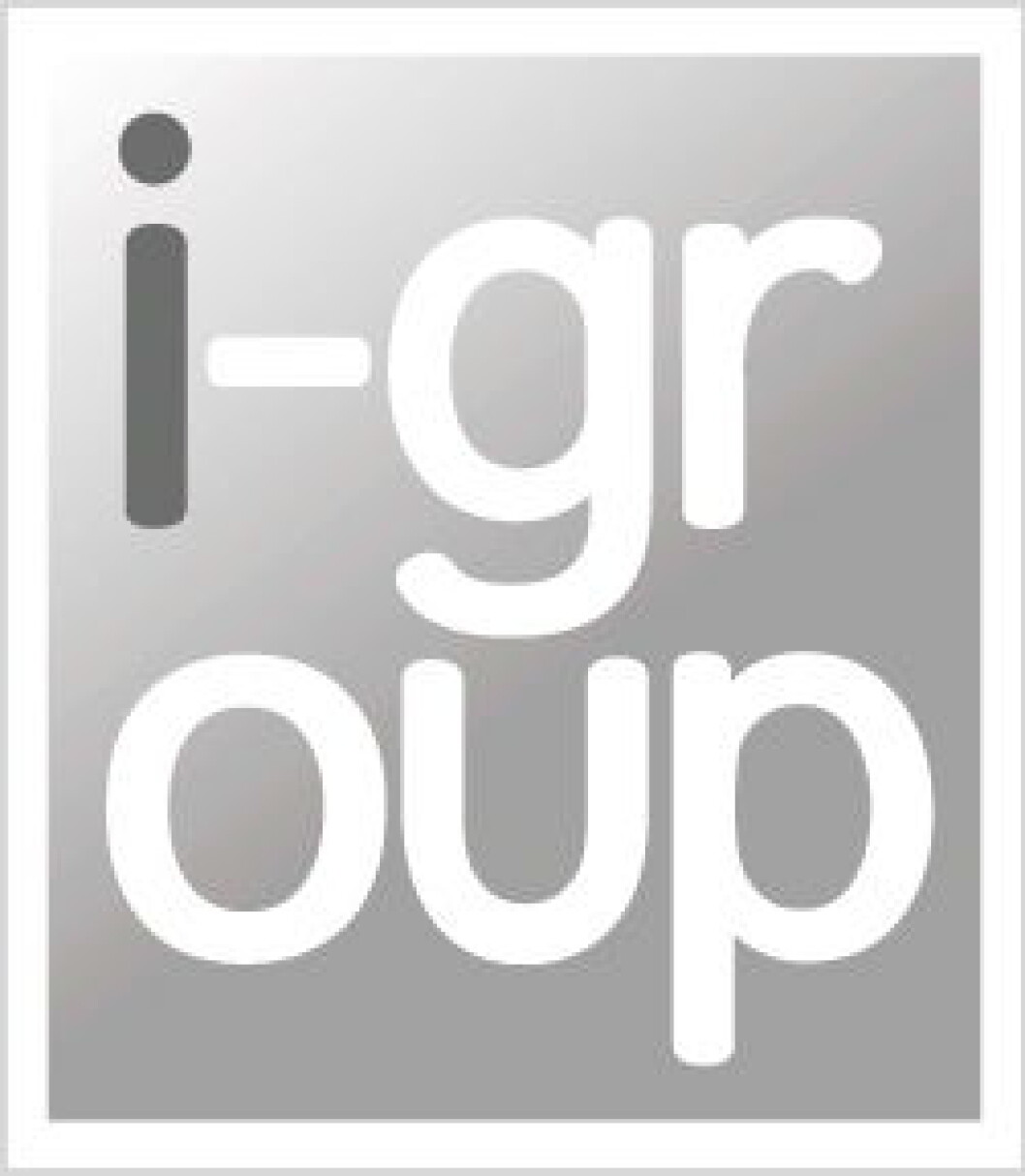 I-Group logo I-Group logo