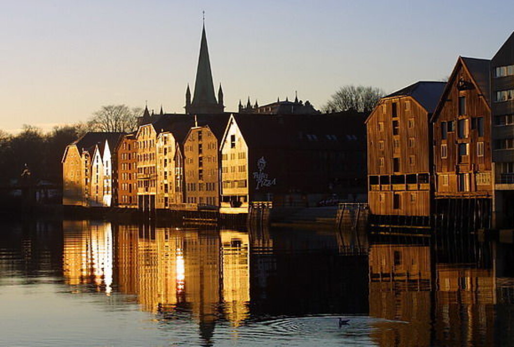 Trondheim brygger Nidarosdomen Trondheim brygger Nidarosdomen