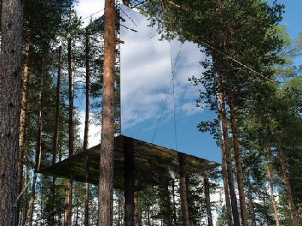 Tree Hotel Sverige2 Tree Hotel Sverige2
