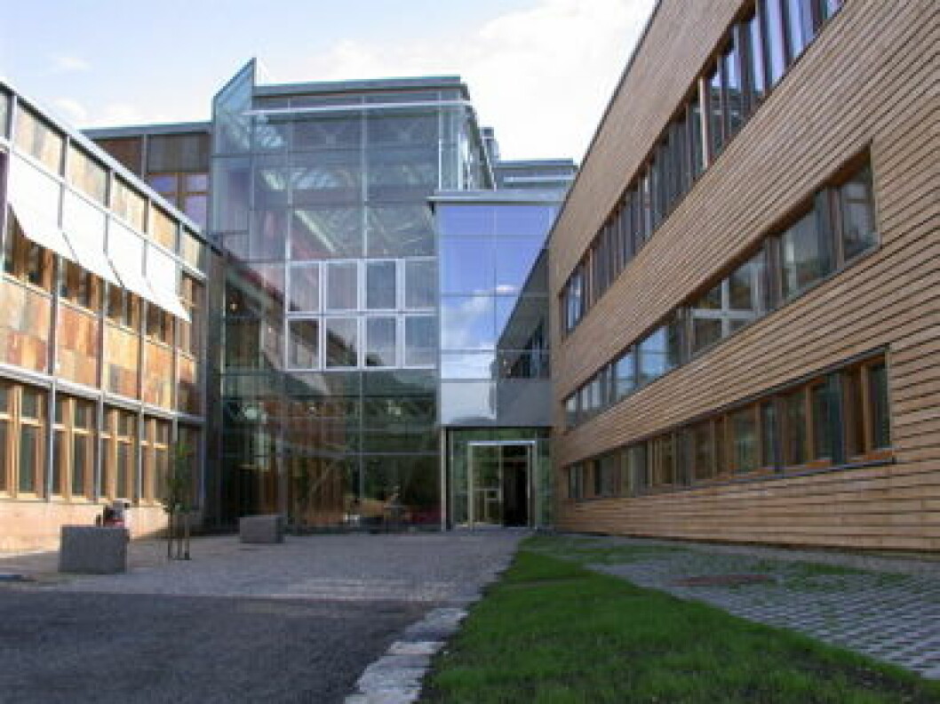 Høgskolen i Lillehammer