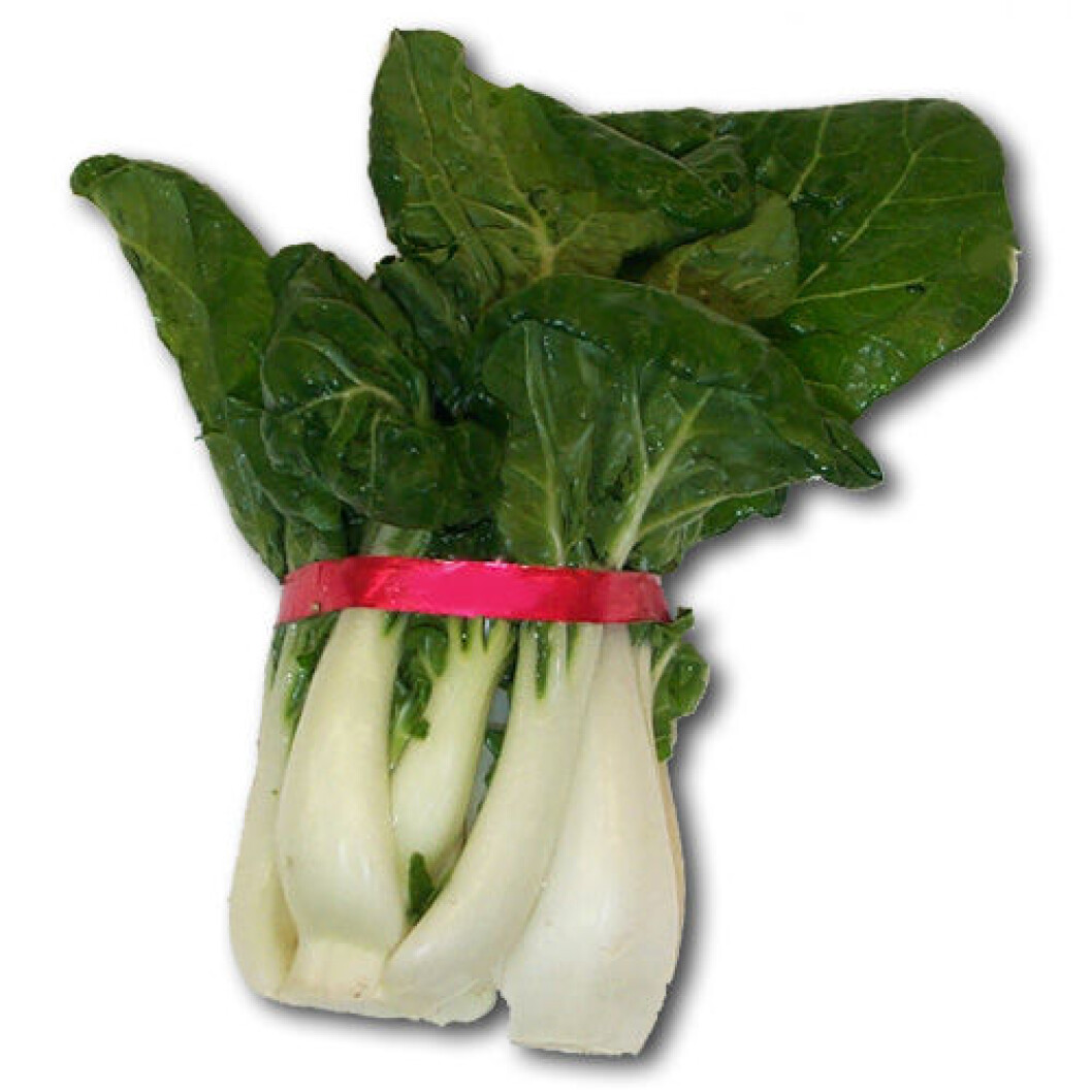 choy sum2 choy sum2