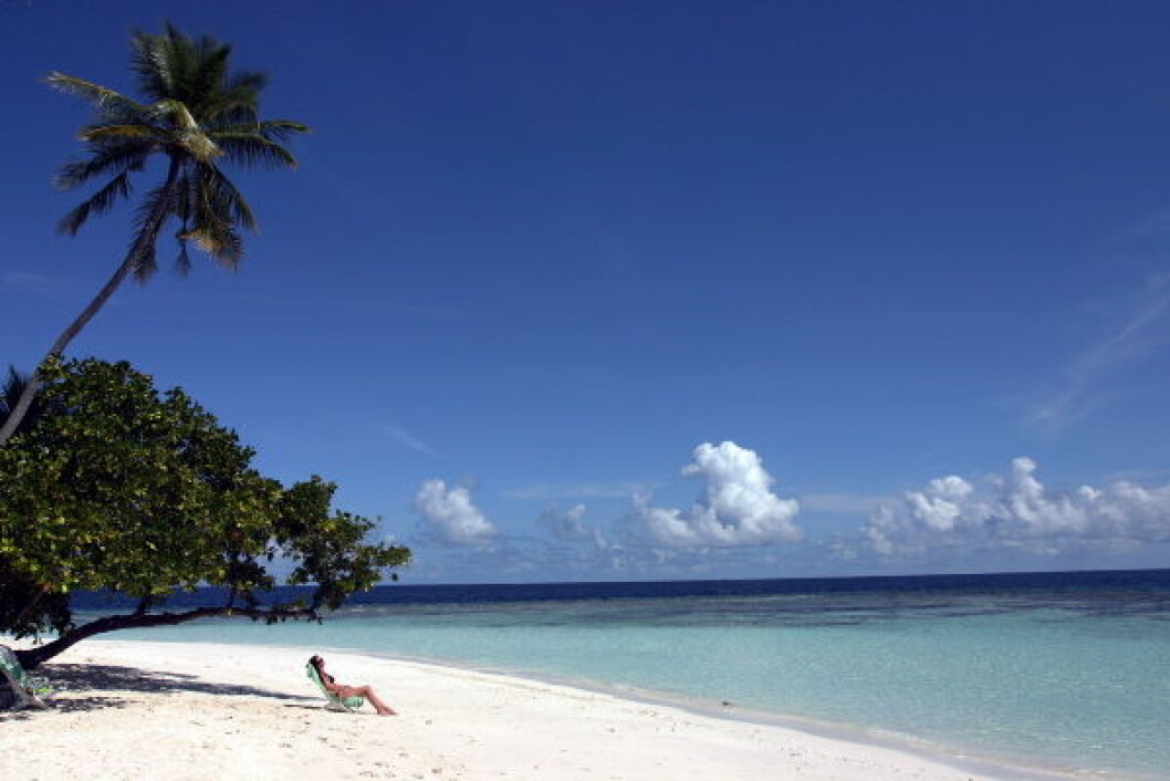 Strand Maldivene Strand Maldivene