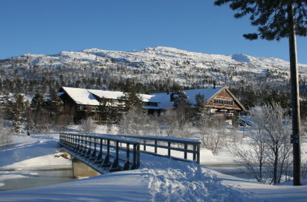 Hovdestøylen Hovden Hovdestøylen Hovden